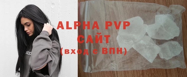 прущие грибы Сафоново