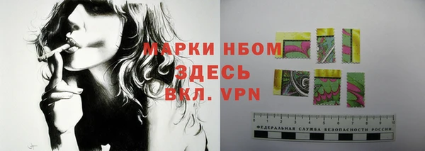 прущие грибы Сафоново
