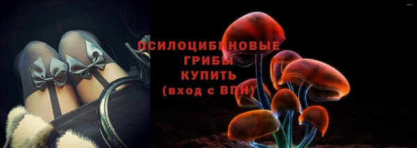эйфоретик Беломорск