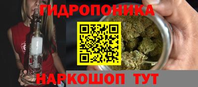 дмт Нальчик