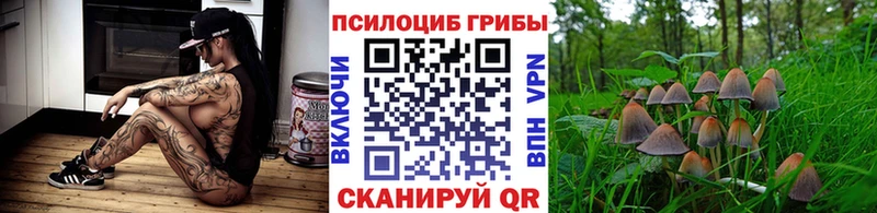 Галлюциногенные грибы мухоморы  Великие Луки 