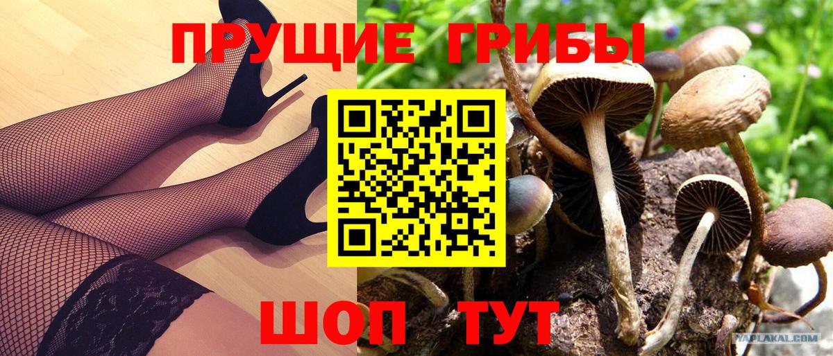Псилоцибиновые грибы Magic Shrooms Великие Луки